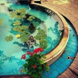 عاشقانه های من باتو