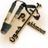 پلخمون