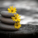آرامش حضور