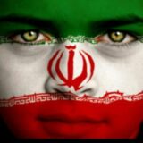 فان