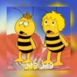 ویز ویز