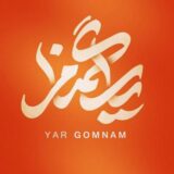 رسانه یار گمنام