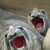 اوقات فراغت