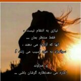 nolove___
