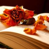 شب نوشته ها
