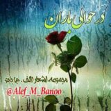 در حوالی باران