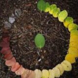 سایکو زندگی