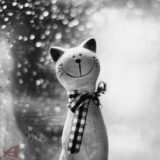 صرفا جهت دونست