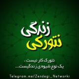 زندگی نتورکی