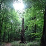 دیدنی های ایران و جهان