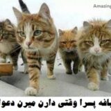 دابسمش های جدیدوخفن