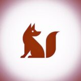 تيم امنيتي روباه