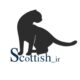 Scottish_ir