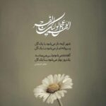 مؤسسه فرهنگی ، اعتقادی الحیاة - کانال تلگرام