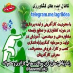ایده های کشاورزی - کانال تلگرام