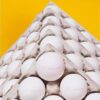 پخش عمده تخم مرغ زرنشان - کانال تلگرام