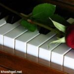عاشقان پیانو - کانال تلگرام