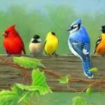 پرندگان زینتی - کانال تلگرام