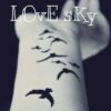 love sky
