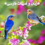 *زبان وادبیات فارسی* - کانال تلگرام